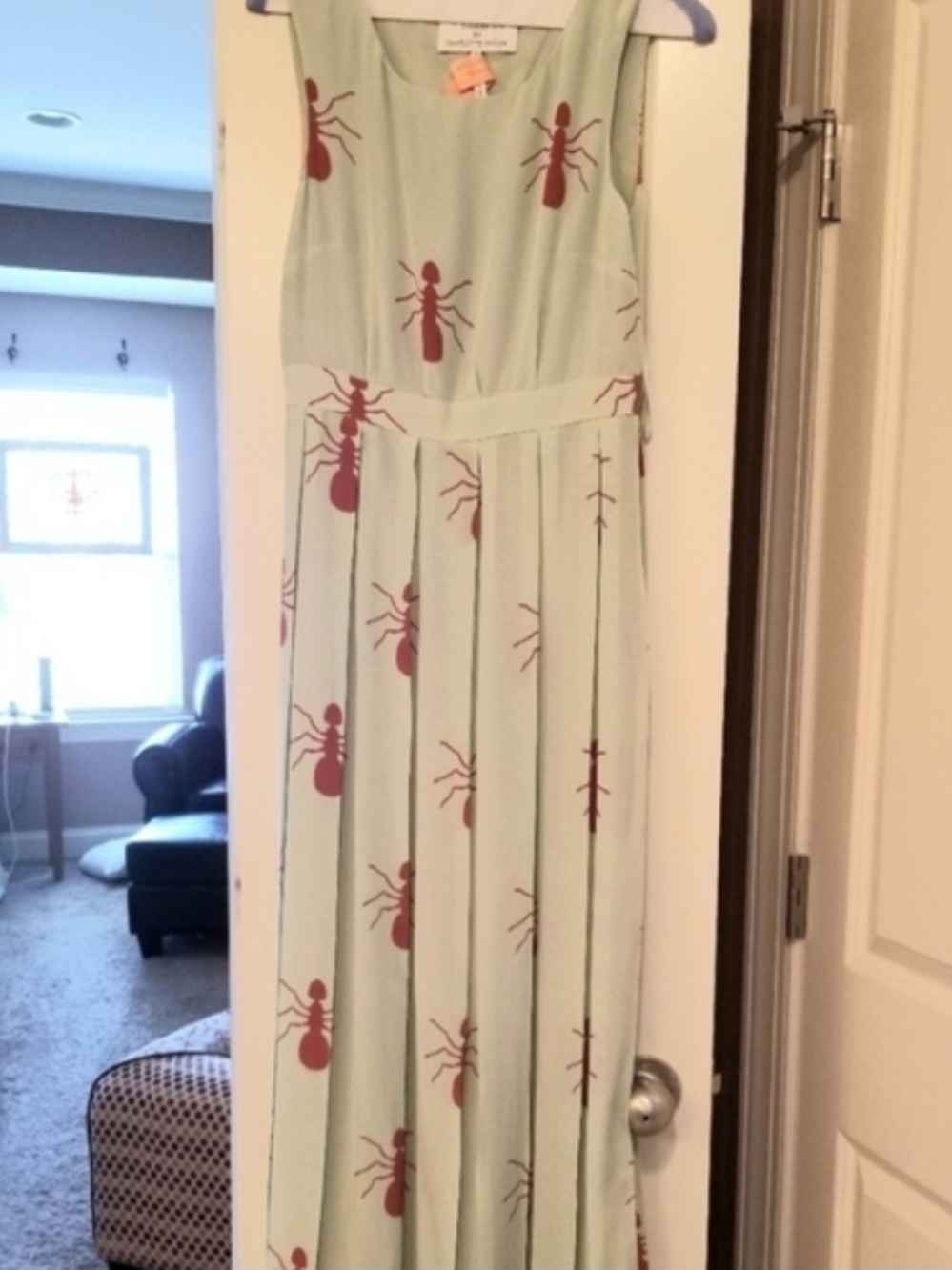 Charlotte Taylor Anthropologie Fire Ant Maxi Dress